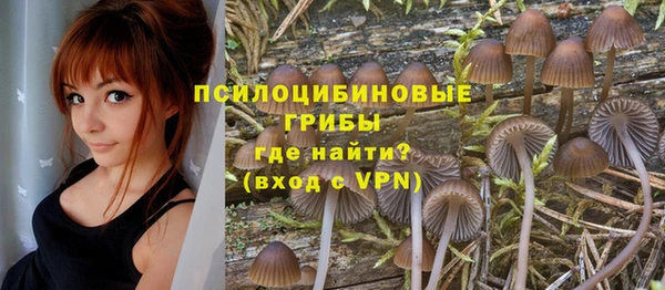 а пвп мука Переславль-Залесский