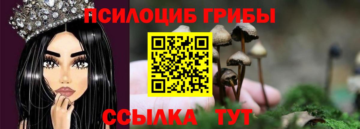 Псилоцибиновые грибы мицелий  Ейск  Псилоцибиновые грибы прущие грибы 