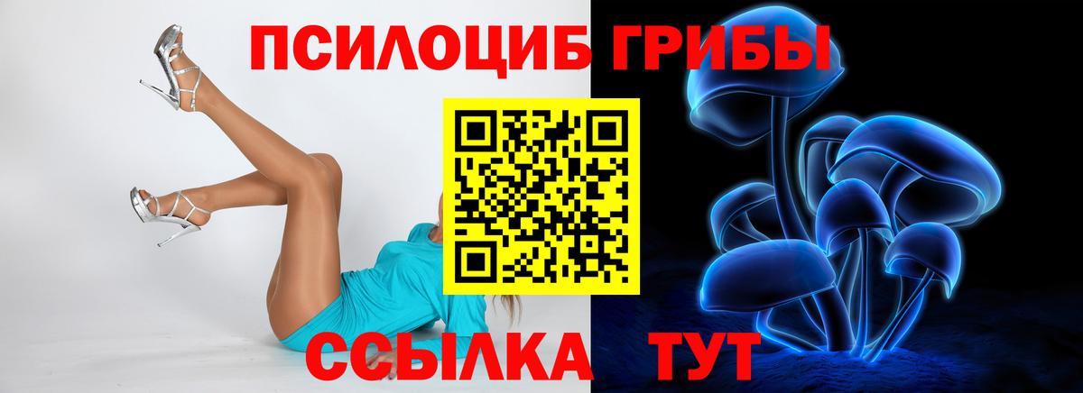 Галлюциногенные грибы MAGIC MUSHROOMS  Вход с VPN  закладка  Ейск  Галлюциногенные грибы Psilocybe 